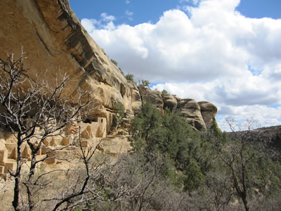 cliff palace